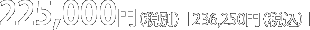 225,000円（税別）［236,250円（税込）］